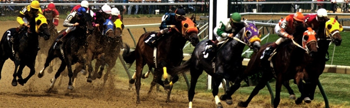 Horse Racing Tickets